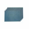 Checkers Blue Placemat (Set of 4) by Dainty Home
