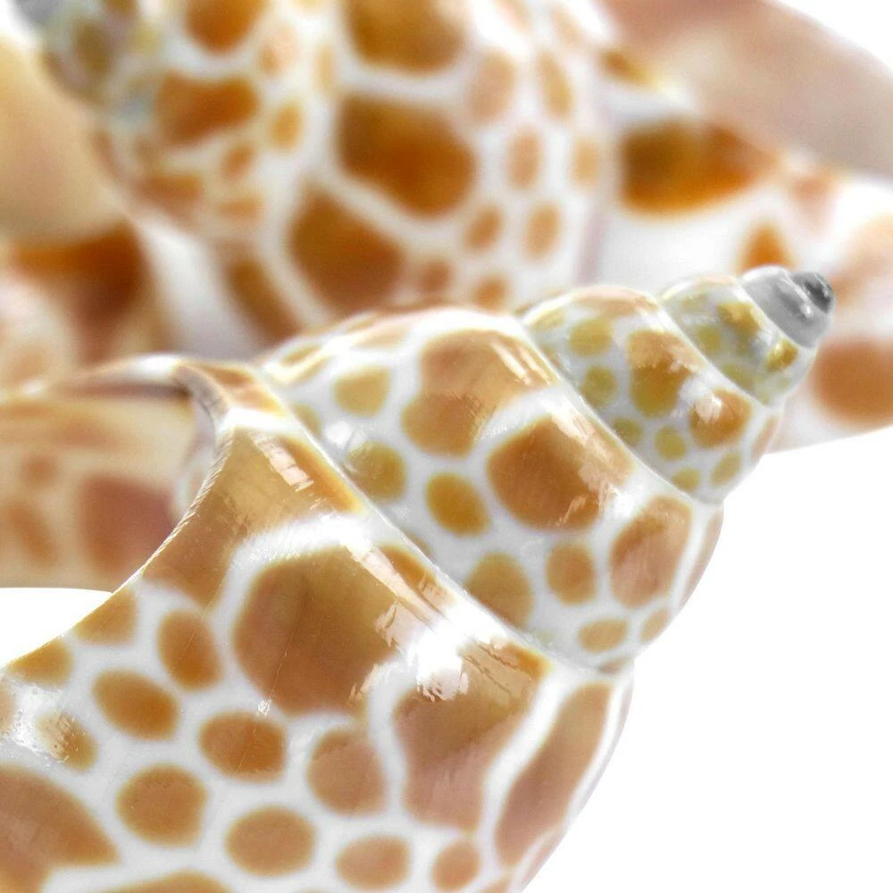 1.5 in. x 1 in. Tan Babylon Shell Napkin Rings (4-Piece) by POTTERY BARN 6 1.5 in. x 1 in. Tan Babylon Shell Napkin Rings (4-Piece) by POTTERY BARN - Image 4