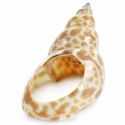 1.5 in. x 1 in. Tan Babylon Shell Napkin Rings (4-Piece) by POTTERY BARN 10 1.5 in. x 1 in. Tan Babylon Shell Napkin Rings (4-Piece) by POTTERY BARN -Table Linens Shop whites cloth napkins napkin rings 985117173m 4f 1000